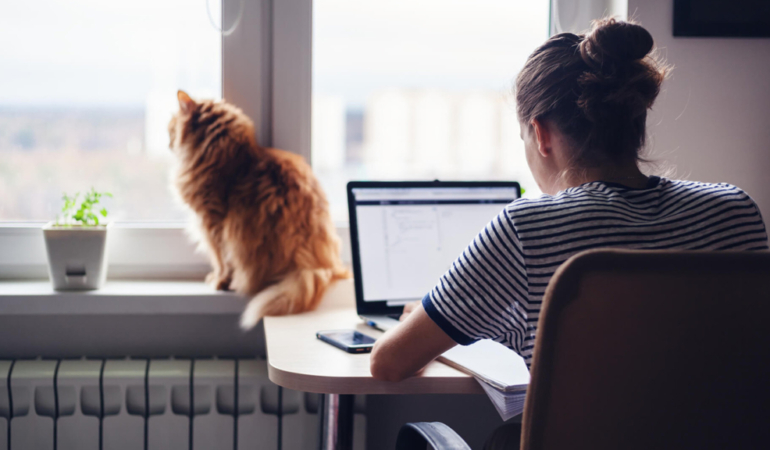 Gençleri iş ve burs vaadiyle kandırmaya çalışıyorlar